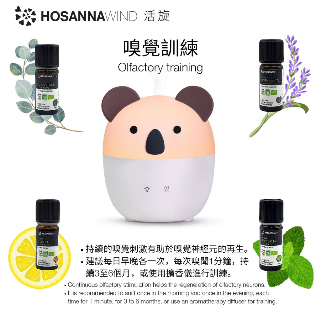 Olfactory Retraining Therapy