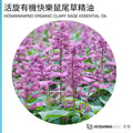 HOSANNAWIND ORGANIC CLARY SAGE ESSENTIAL OIL