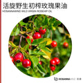 HOSANNAWIND WILD ROSEHIP OIL