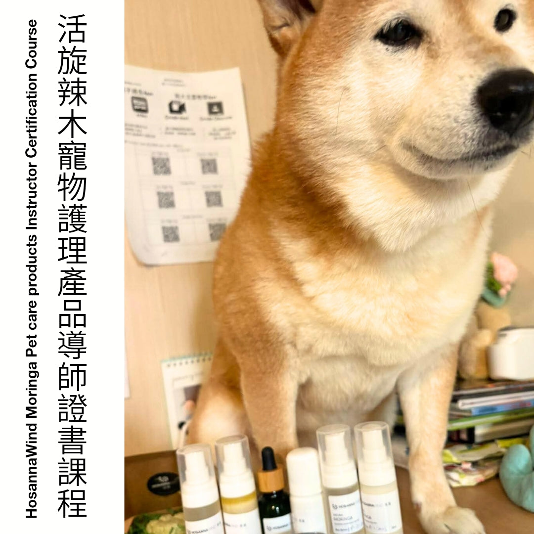 HOSANNAWIND MORINGA PET CARE PRODUCTS INSTRUCTOR CERTIFICATION TRAINING