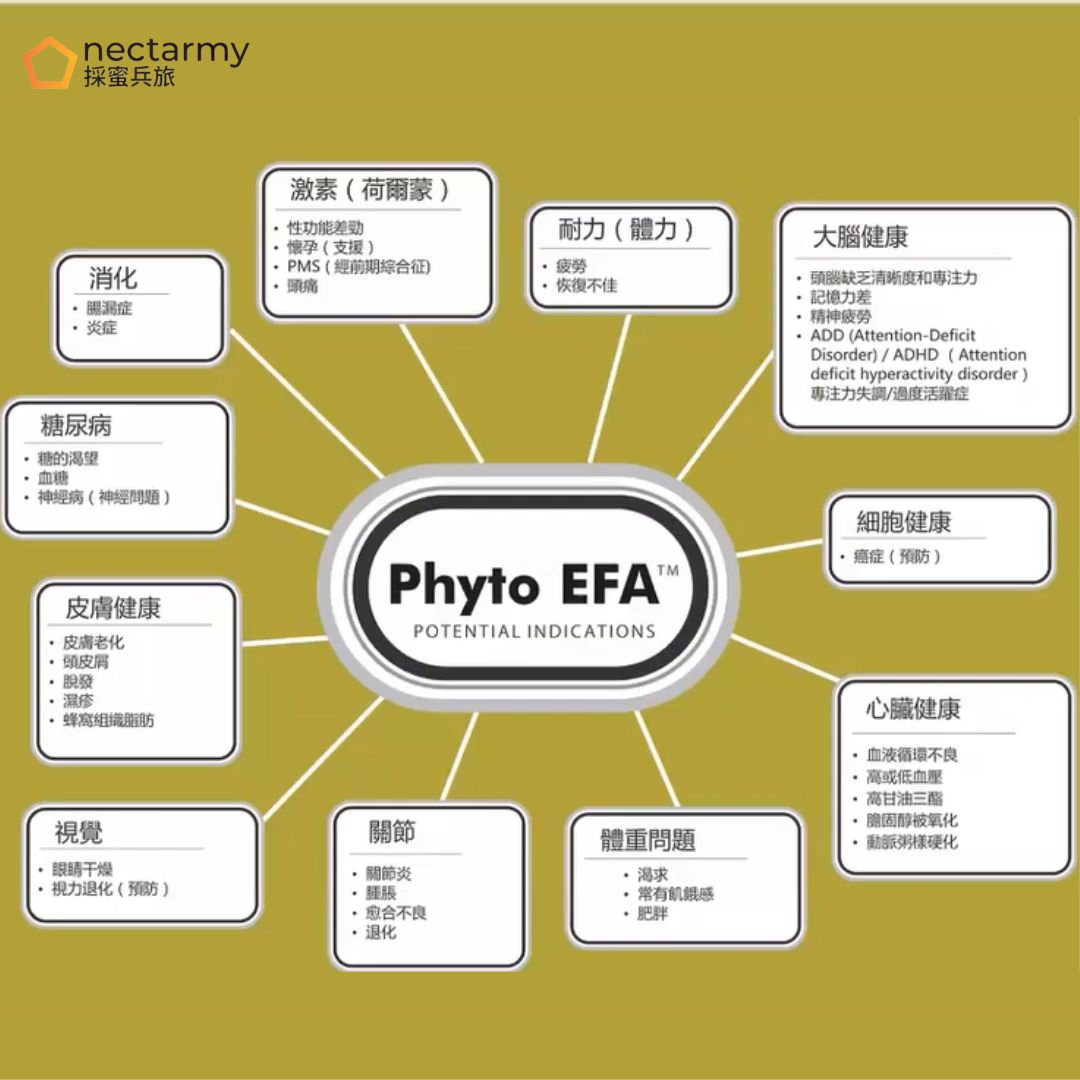 PHYTO-EFA ®️